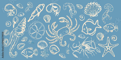 A collection of hand drawn marine life and seashells on a blue background