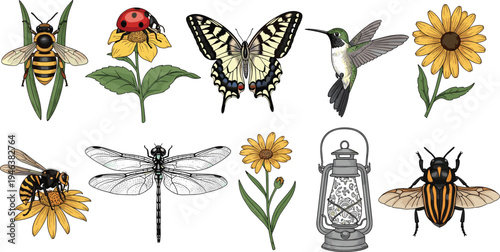 Insects birds and flowers vintage vector illustration set featuring bee butterfly dragonfly hummingbird sunflower and ladybug nature collection