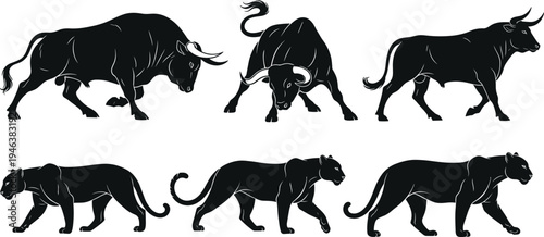 Set of aggressive bull and black panther silhouettes showing attack, walking and standing poses isolated vector wildlife predator collection design illustration