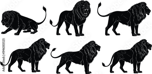Lion silhouette collection featuring walking, standing and roaring big cat poses isolated black vector illustration set representing wildlife strength and power