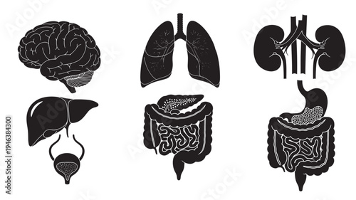 Map of Japan in silhouette, with internal borders clearly depicted against a white background for graphic design