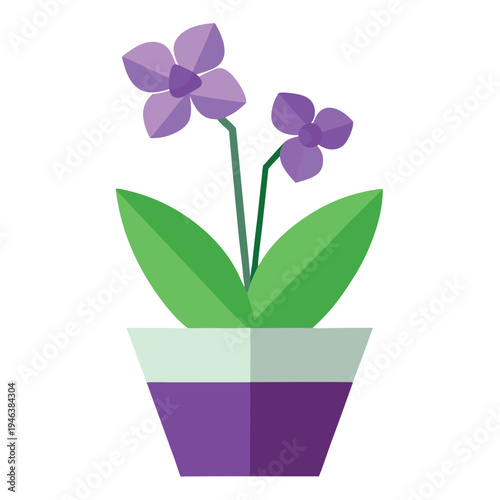 Purple orchid flower