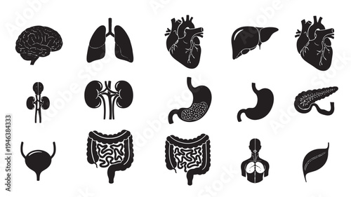 Australia map with internal state borders shown in white silhouette on a black background with the word Australia underneath