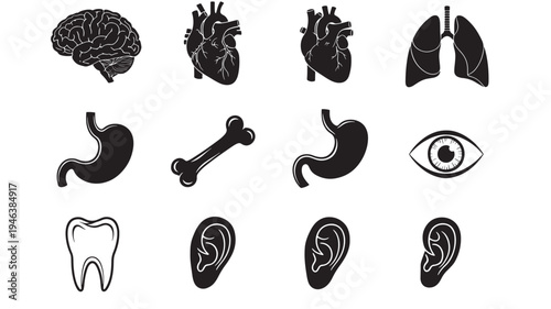 Human anatomy icons set with brain, heart, lungs, stomach, bone, tooth, eye, and ears. featuring organs, medical, health with body and ear elements