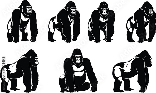 Gorilla silhouette collection showing different poses of a powerful ape, black vector illustration set isolated for wildlife design, animal mascot, jungle theme and nature concepts