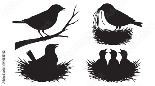 silhouette of birds on nests and tree branch