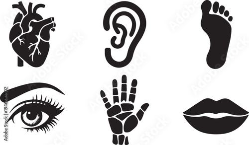 Print A collection of black silhouette icons representing various human body parts and internal organs