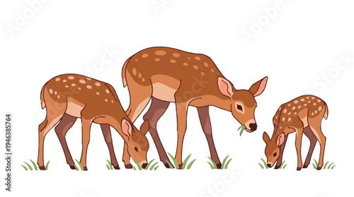 three deer eating grass in a field