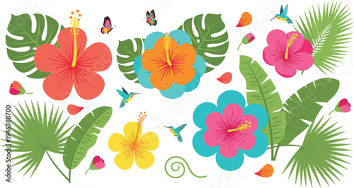 Tropical hibiscus flowers and jungle leaves with butterflies and hummingbirds colorful exotic botanical vector illustration set
