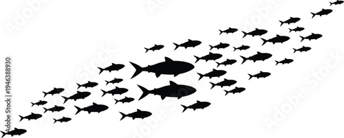 School of fish silhouettes with larger leader fish swimming together, marine wildlife vector illustration symbolizing teamwork, leadership, direction, and ocean life