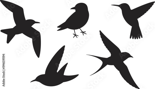 Bird silhouettes collection, flying and perched bird icons set, wildlife nature animals illustration, decorative avian shapes