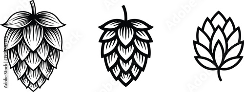 Hop cone vector illustrations set, brewing ingredient botanical icons, beer hops plant design collection for craft brewery branding