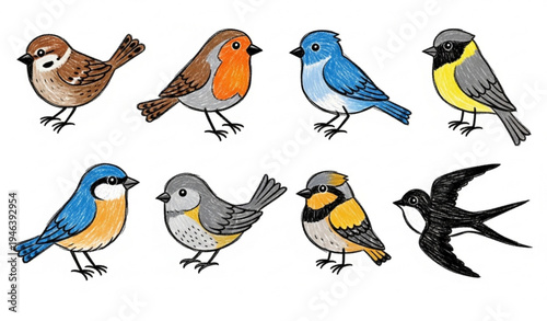 Hand drawn spring birds crayon vector set with colorful cute bird illustrations
