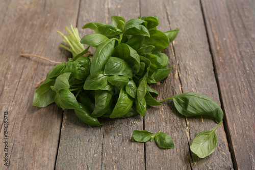 Fresh green basil leaves on...