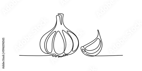 Continuous line art drawing of a whole garlic bulb and a single clove on a white background Vector, illustration