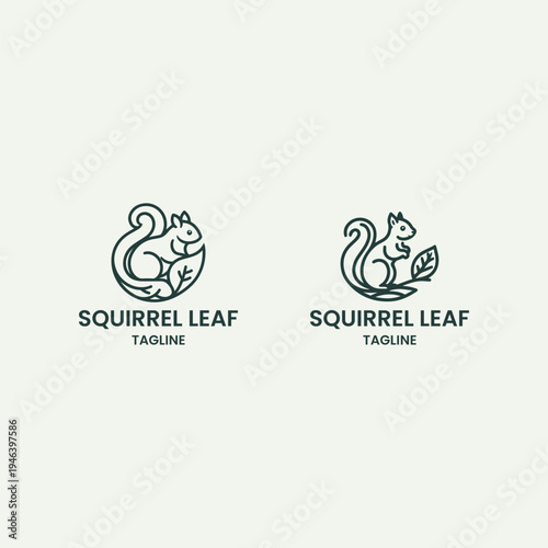 Set squirrel leaf logo template vector illustration design