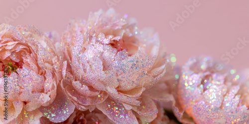 peony flowers covered in glitter, with iridescent, holographic shimmering glitter and sparkle, close-up, on a pastel pink background.