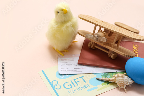 Toy plane with passport, ti...