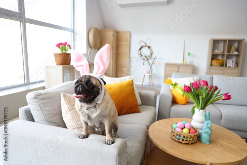 Cute pug dog in bunny ears ...