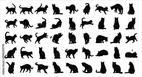A collection of black silhouettes depicting various cat poses and orientations