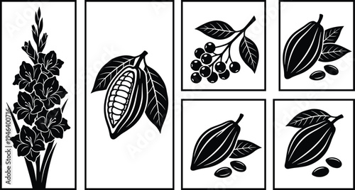 Flat vector illustration of cacao pods, coffee cherries, gladiolus flower, botanical drawing, agriculture plants, food production, nature art, detailed design