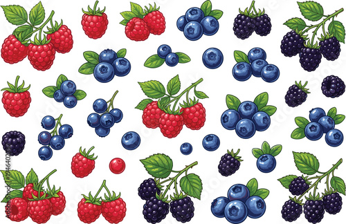 Fresh berry fruit vector illustration set with raspberries, blueberries and blackberries with leaves isolated healthy organic berries collection