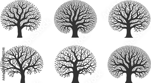 Six black and white tree with intricate branches and trunks on a white background trees