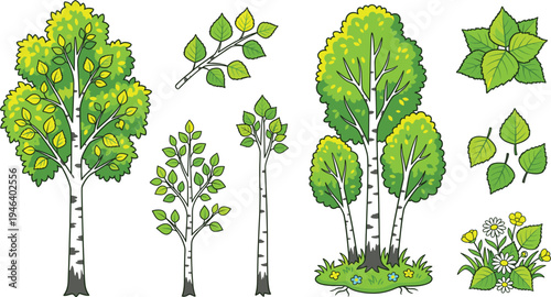 Green forest trees and leaves vector illustration set with birch trees, branches, foliage and wildflowers isolated nature botanical elements