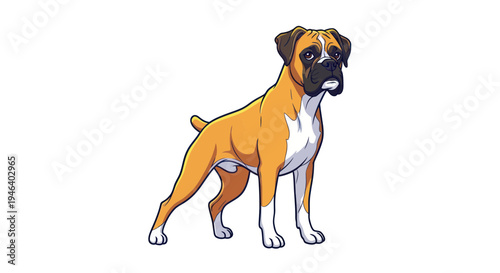 Cute Boxer Dog Standing Isolated on White Background, Playful Pet Portrait
