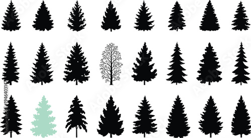 Various silhouettes of trees including coniferous and deciduous types with one green shaded tree in the foreground