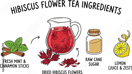 Hibiscus flower tea ingredients doodle vector illustration featuring dry hibiscus, sugar, mint, cinnamon, lemon, Doodle vector set for brewing and preparing hibiscus tea ingredients isolated
