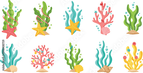 Colorful Coral Reef and Seaweed Illustration with Starfish, Shells, and Bubbles