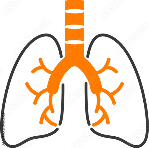 Lungs