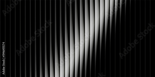 A striking monochrome abstract image with vertical lines forming a dynamic pattern in black and white, offering a bold visual impact and artistic flair.
