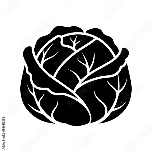 Simple black and white icon of a fresh cabbage head for healthy eating concepts