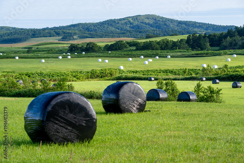 Obraz na plátne Grassland landscape with silage bales in Wakkanai, Hokkaido, Japan