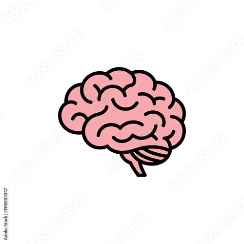 Human brain organ representing thought and intelligence on white