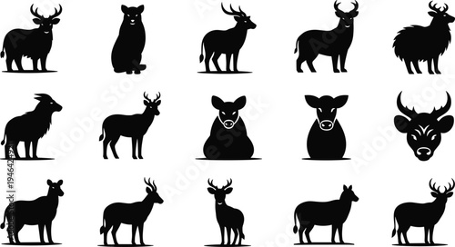 Deer silhouette collection featuring stag, doe and fawn wildlife animals with antlers in different poses isolated black vector forest mammal icon set