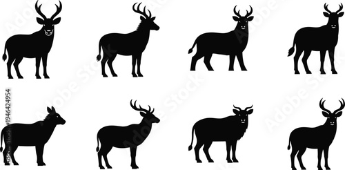 Deer silhouettes collection featuring stag buck and elk standing poses isolated on white background wildlife forest animal vector illustration set