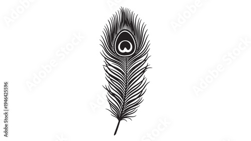 Peacock feather silhouette with detailed eye motif and flowing barbules, isolated on white background