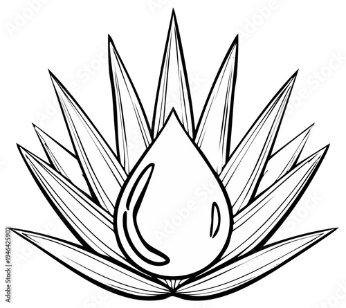 Agave plant with water drop line drawing. Tequila and beverage concept art.