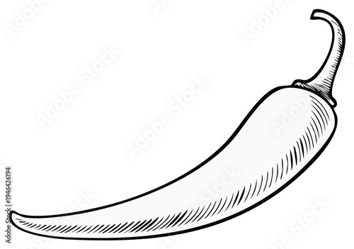 Monochrome Drawing of a Spicy Chili Pepper with Detail and Sharp Outline