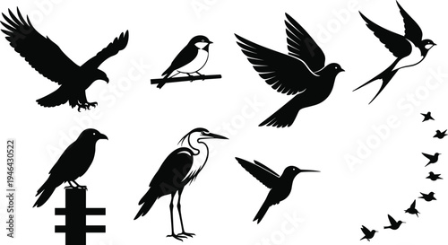 Bird silhouette collection featuring eagle, swallow, hummingbird, crow, heron and flying bird flock icons isolated black vector set for wildlife, nature and tattoo design