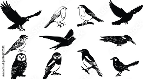 Bird silhouettes and line art collection featuring eagle owl sparrow crow and flying birds isolated on white background wildlife nature vector illustration set