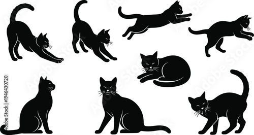Cat silhouette collection featuring different domestic feline poses including stretching, jumping, sitting, walking and playing isolated black vector pet animal illustration set