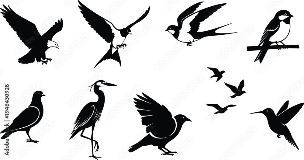 Obraz premium Collection of bird silhouettes including eagle swallow pigeon heron crow hummingbird and flying birds isolated on white background wildlife vector illustration set for design