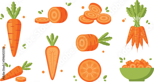 Fresh carrot vegetable collection with whole carrots slices carrot bunch and bowl of chopped carrots healthy food flat vector illustration