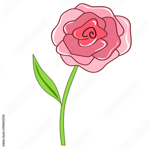 pink rose isolated on white