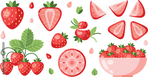Fresh strawberry fruit collection with whole berries slices halves strawberry plant leaves and bowl of strawberries flat vector illustration