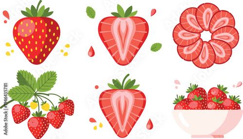 Fresh strawberry fruit set with whole strawberries slices strawberry flower berry plant leaves and bowl of strawberries flat vector illustration